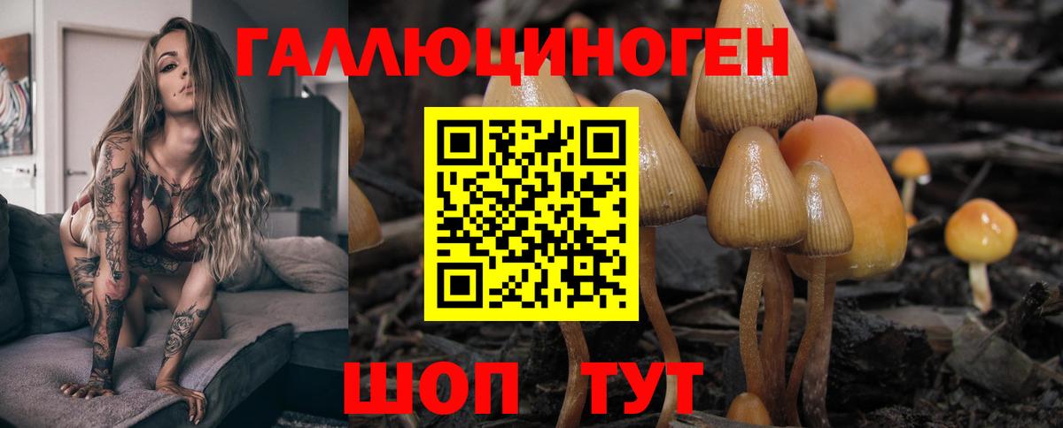A-PVP Минеральные Воды