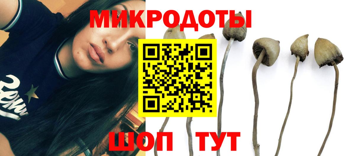 Минеральные Воды  Галлюциногенные грибы Cubensis  Вход с VPN  Галлюциногенные грибы Magic Shrooms 